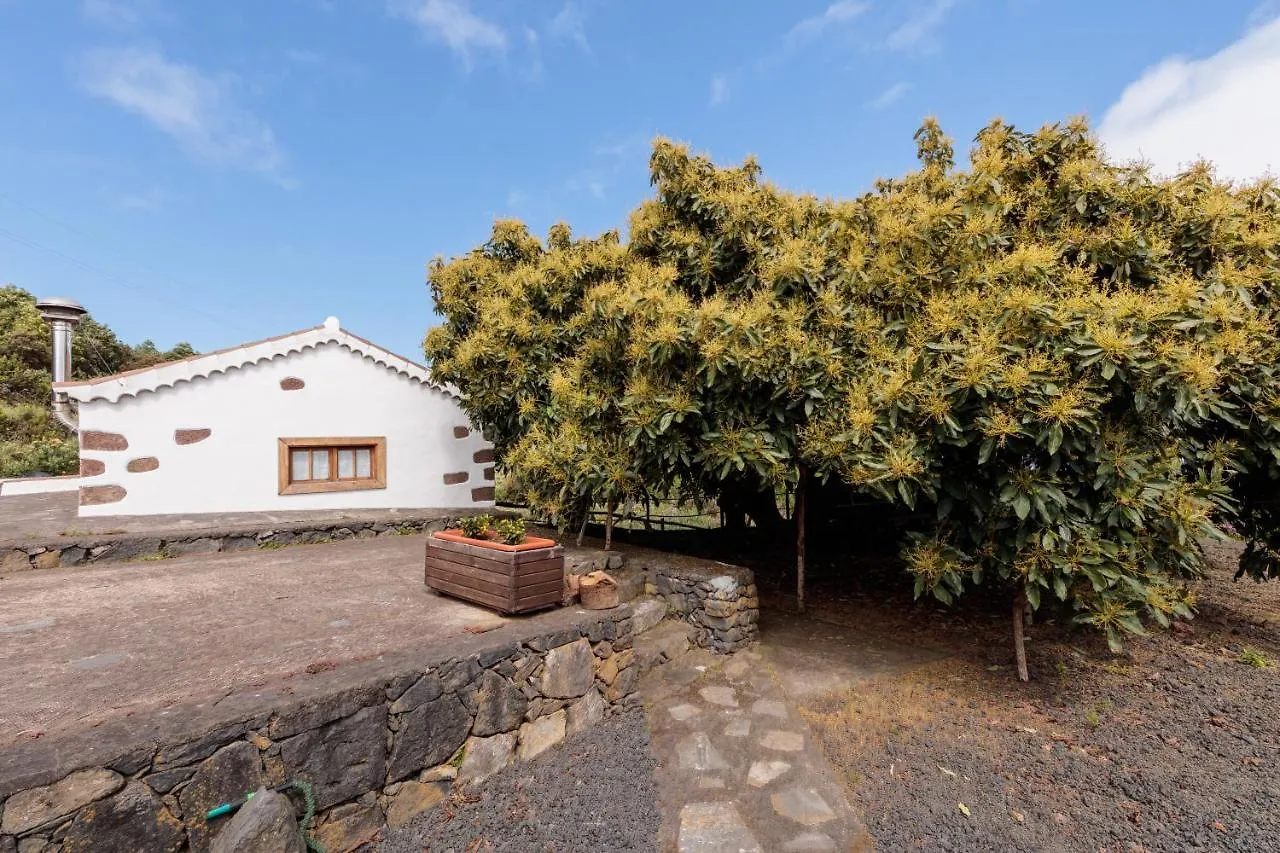 Holiday home Facundo B Villa Barlovento Spain